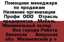 Помощник менеджера по продажам › Название организации ­ Профи, ООО › Отрасль предприятия ­ Мебель › Минимальный оклад ­ 60 000 - Все города Работа » Вакансии   . Амурская обл.,Мазановский р-н